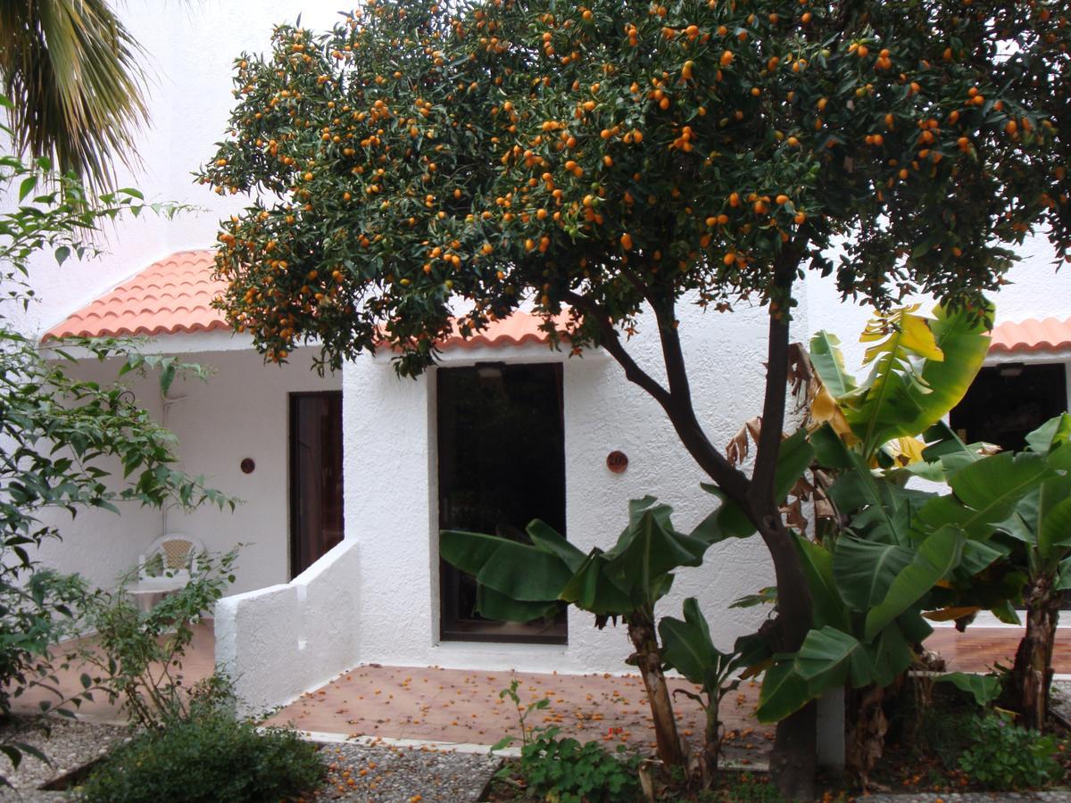 Oasis Hotel Bungalows Rhodes Afantou Exteriör bild